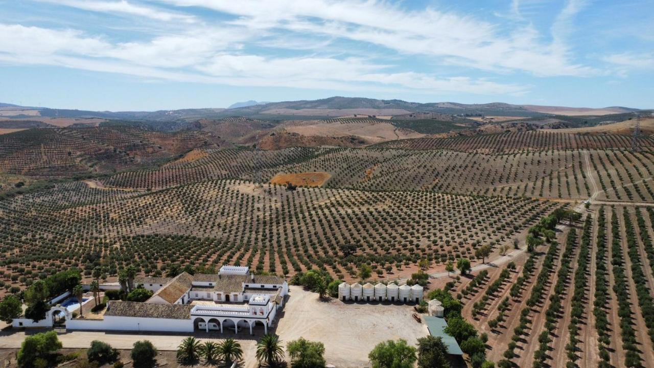 Villa Cortijo Donana La Puebla de Cazalla Esterno foto