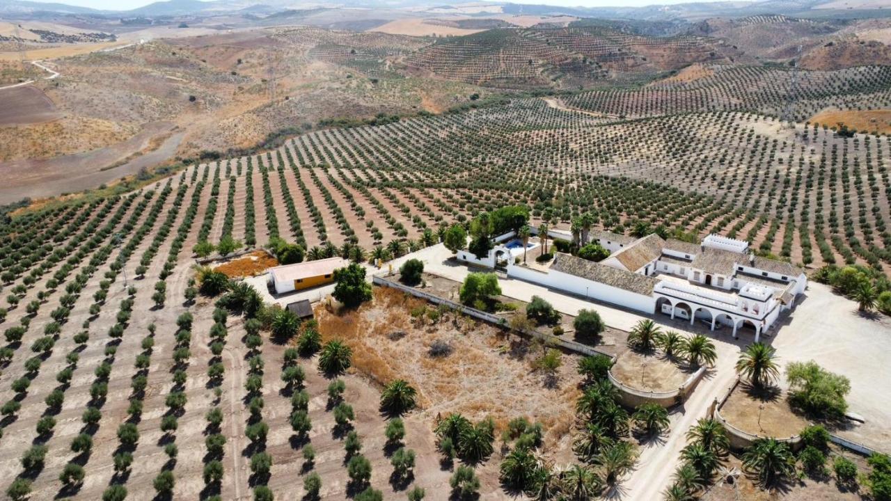 Villa Cortijo Donana La Puebla de Cazalla Esterno foto